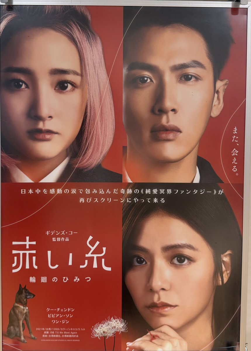 先週観た映画がどれも素晴らしすぎて、少なくとももう一回ずつは観たく