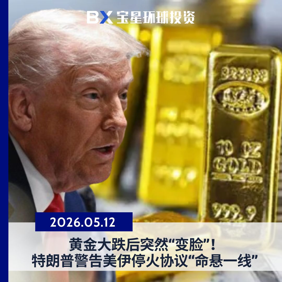 宝星环球投资 tweet media