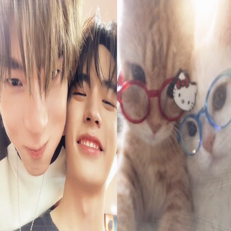 คาดิยาตูKira ࣪ ⭒Dwy tweet media