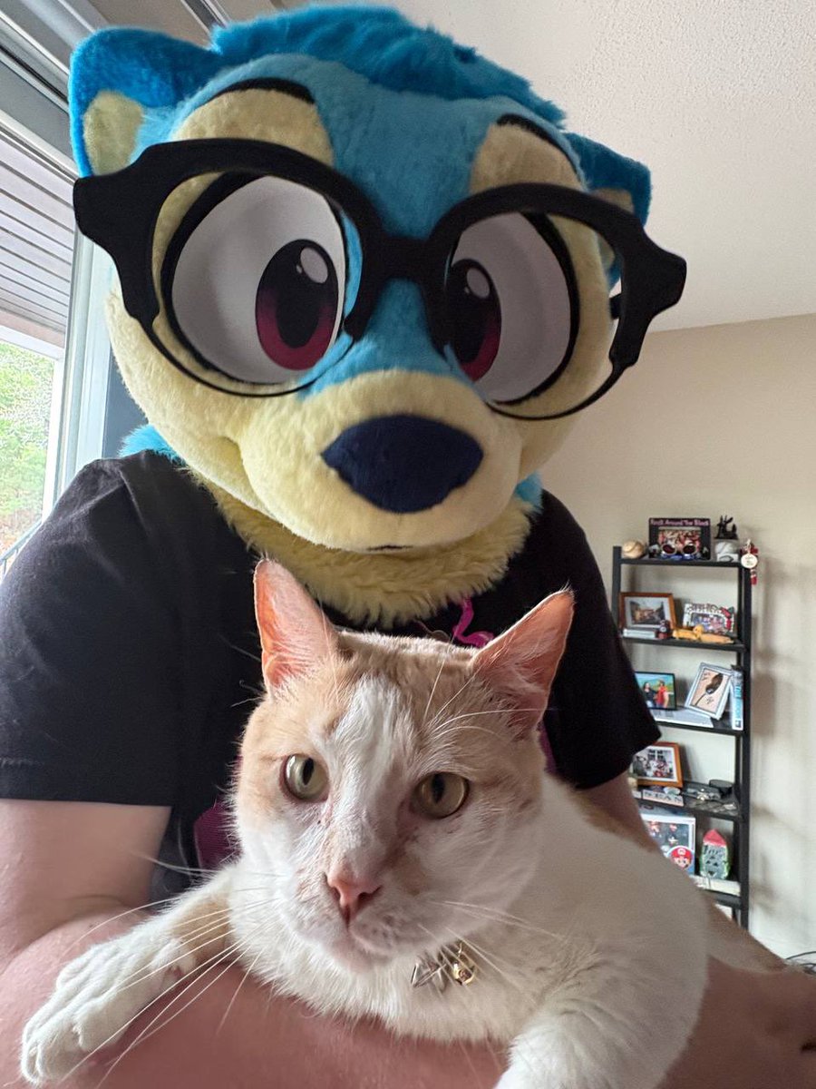 Chip the Ottsel/Lyle the Otter🔜 AC??? tweet media