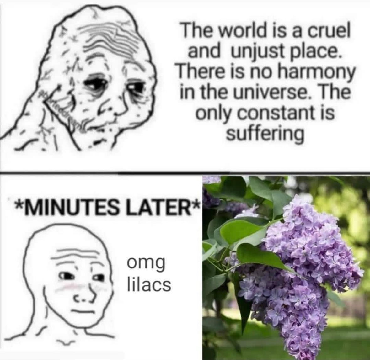 ADHD Memes tweet media