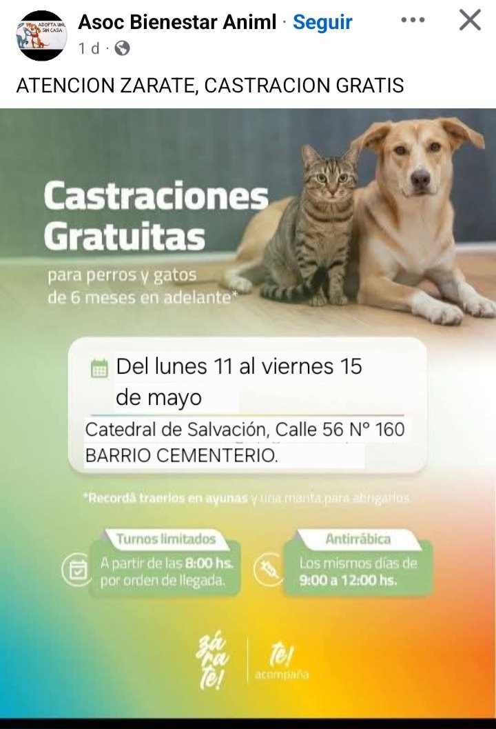 protegealanimal's tweet photo. ZÁRATE - BARRIO CEMENTERIO
#ZÁRATE #BARRIOCEMENTERIO #LIMA #BARRIOBOSCH #BARRIOMATADERO #BARRIOMITRE #BARRIOZÁRATE #BARRIOELPROGRESO #ESCALADA #ZONANORTE #BSAS #BUENOSAIRES https://t.co/WR2q8MeZyX