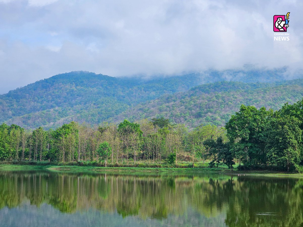 Chiang Mai News tweet media