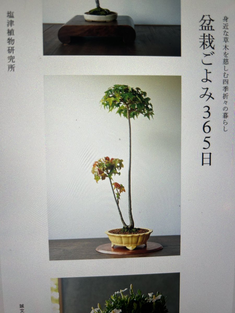 思川みなこ🦋min@読書垢と小説と美術 tweet media