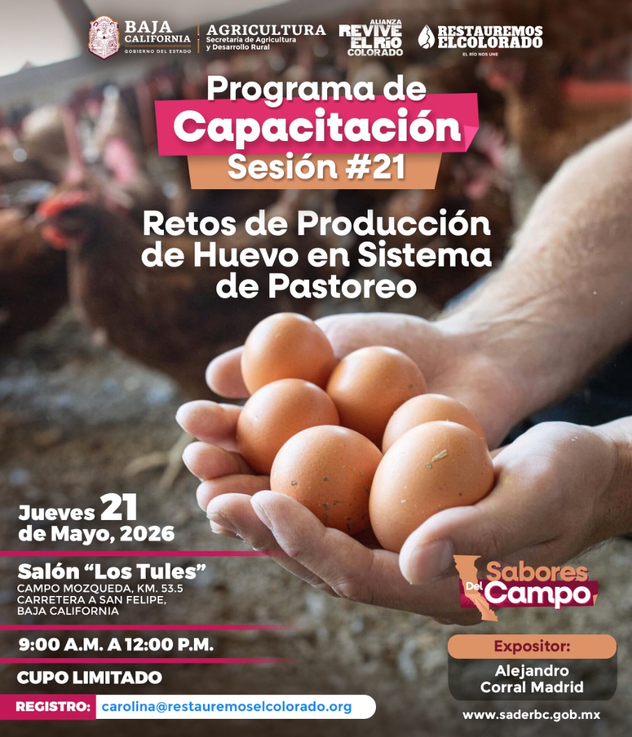 ReviveelRio tweet media