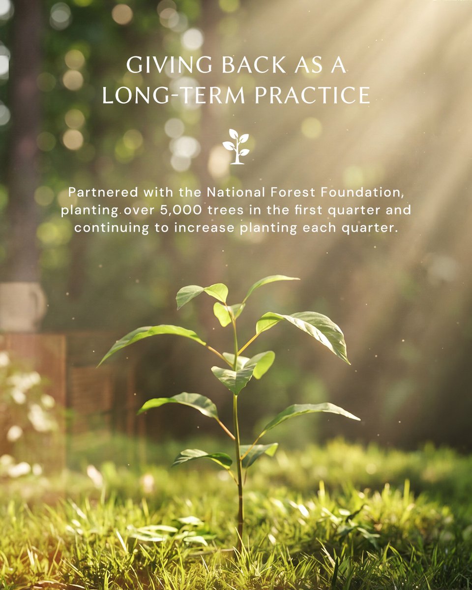 hernestcom's tweet photo. Rooted in community, shaped with intention ,a partnership by HERNEST and National Forest Foundation.

#HERNEST #HERNESTHomeDecor #LiveWithHERNEST #SpringHomeRefresh https://t.co/9mCQgEzsZM