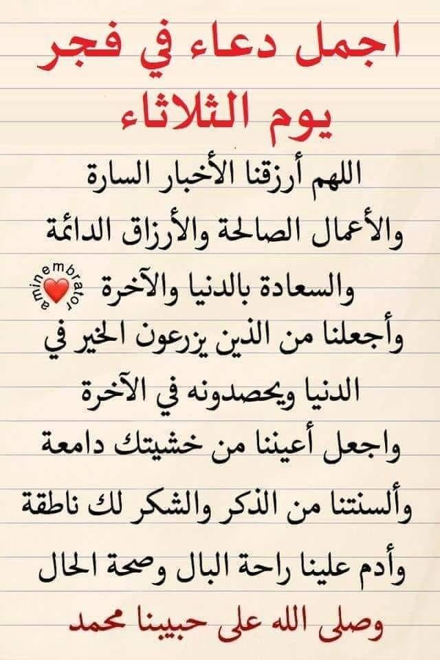 el_hersh's tweet photo. @r3r3i https://t.co/E1B09f4loo