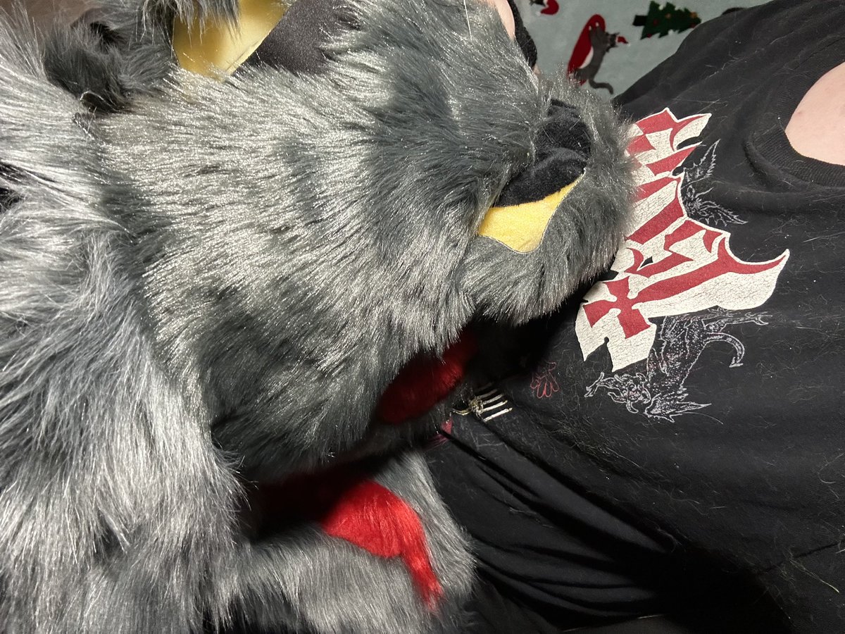 🐾 Nico 🐾 @ Anthrohio tweet media