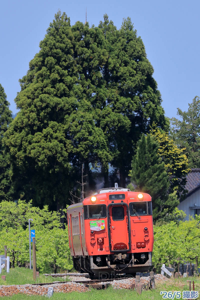 m3nisk's tweet photo. 26/5

城端線キハ40/47定期スジで運用されたチューリップ号

城端方「チューリップGO！」、高岡方「チューリップ号」とのことなのでHM狙い
https://t.co/spvqB1yaVf https://t.co/O35OYVAsmY