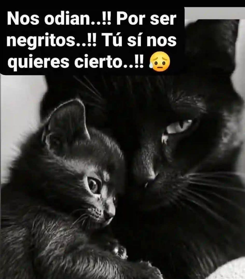 Manu Saenz💛💛 tweet media
