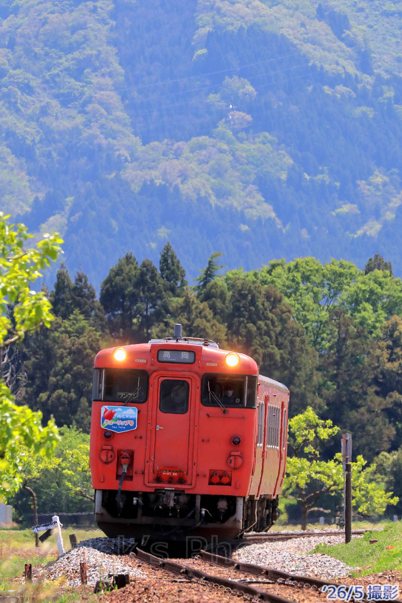 m3nisk's tweet photo. 26/5

城端線キハ40/47定期スジで運用されたチューリップ号

城端方「チューリップGO！」、高岡方「チューリップ号」とのことなのでHM狙い
https://t.co/spvqB1yaVf https://t.co/O35OYVAsmY