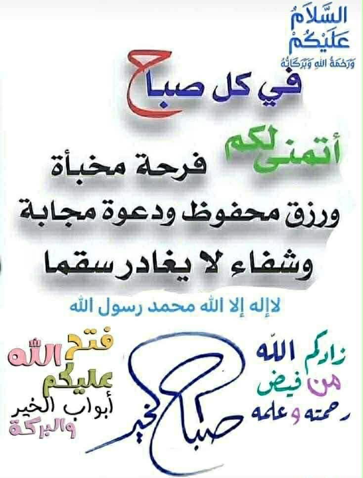 el_hersh's tweet photo. @RF______6 https://t.co/15Gyli75Rk