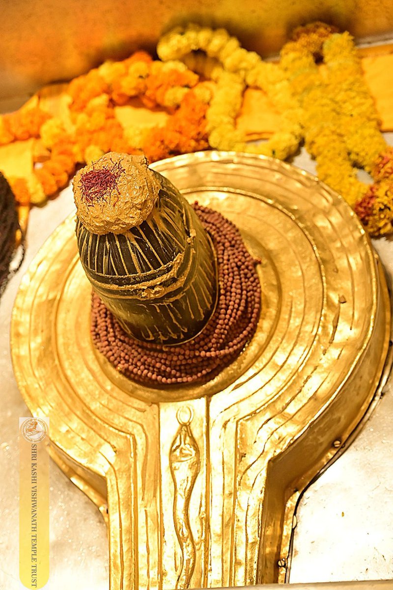 ShriVishwanath's tweet photo. श्री काशी विश्वनाथ जी की मंगला आरती I
#kashivishwanath #kashi #sanatandharma #banaras https://t.co/zTiK5zB6uz
