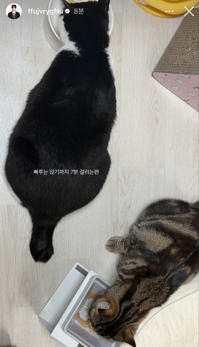 다소니 tweet media
