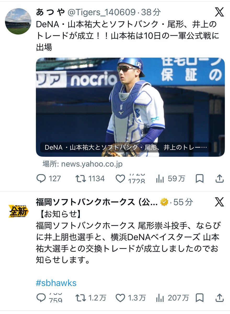 take🐬 tweet media