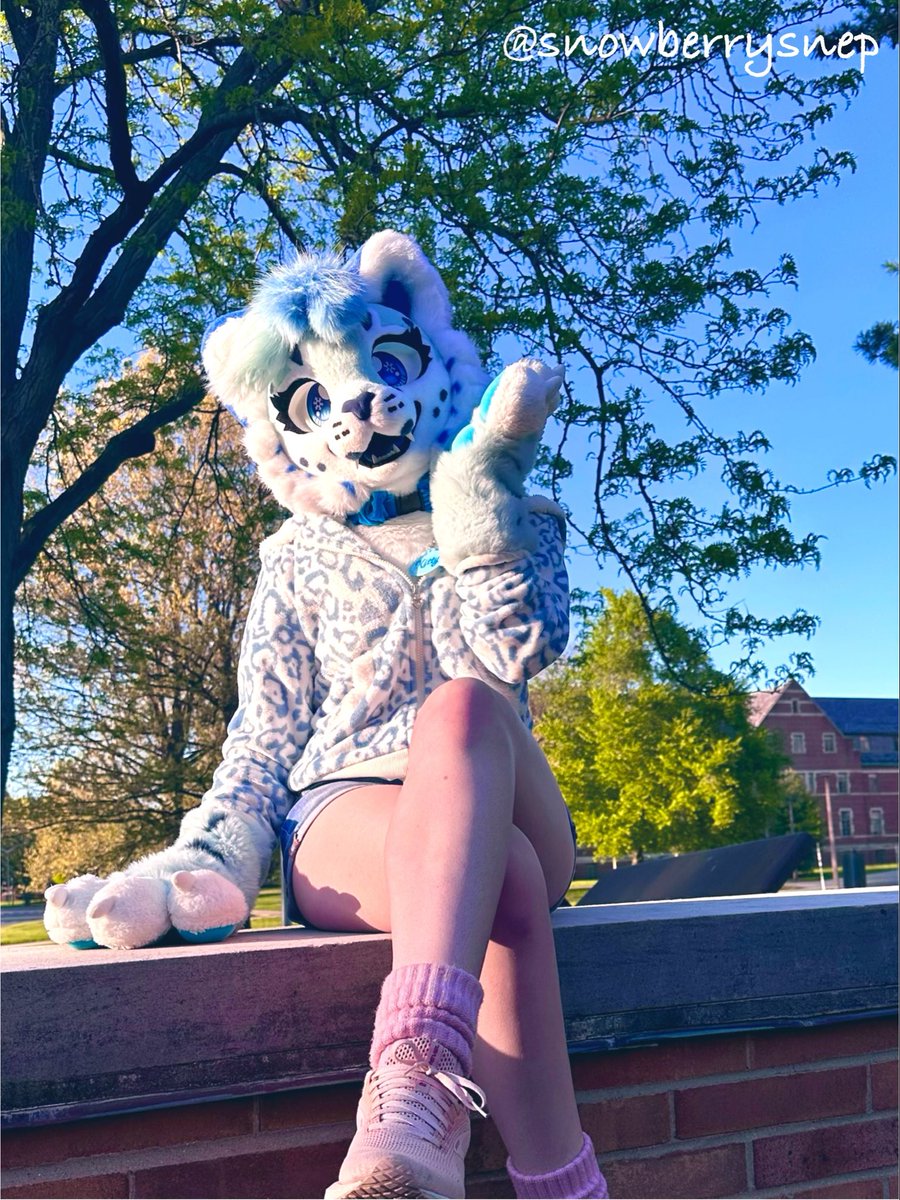 ❄️Snowberry Frost🫐🧊 tweet media