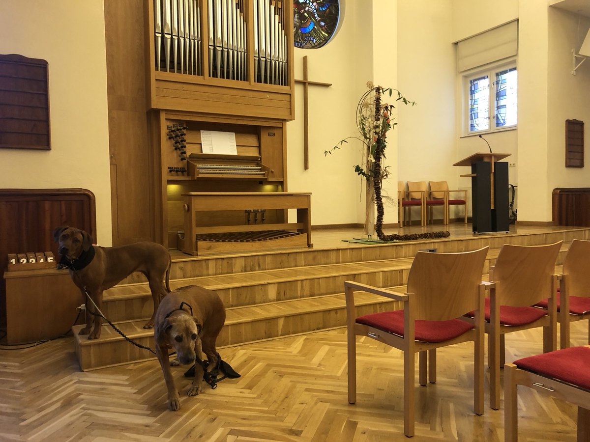 Marion Fiedler tweet media