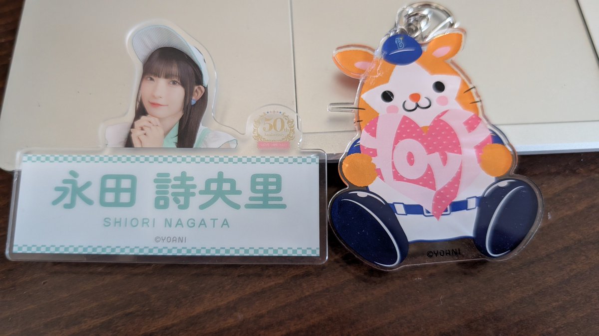 これの名前のところ阪急の方向幕みたいで好き