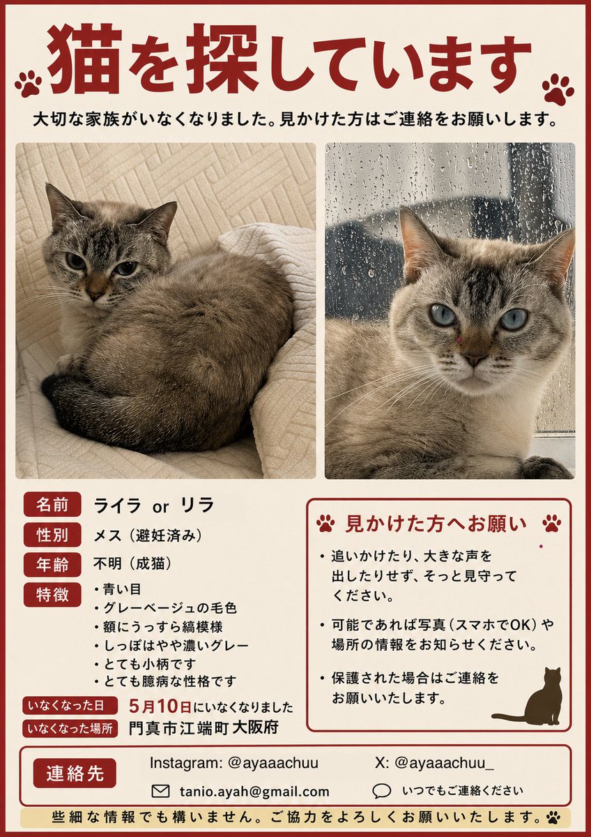 アーヤ☆ tweet media