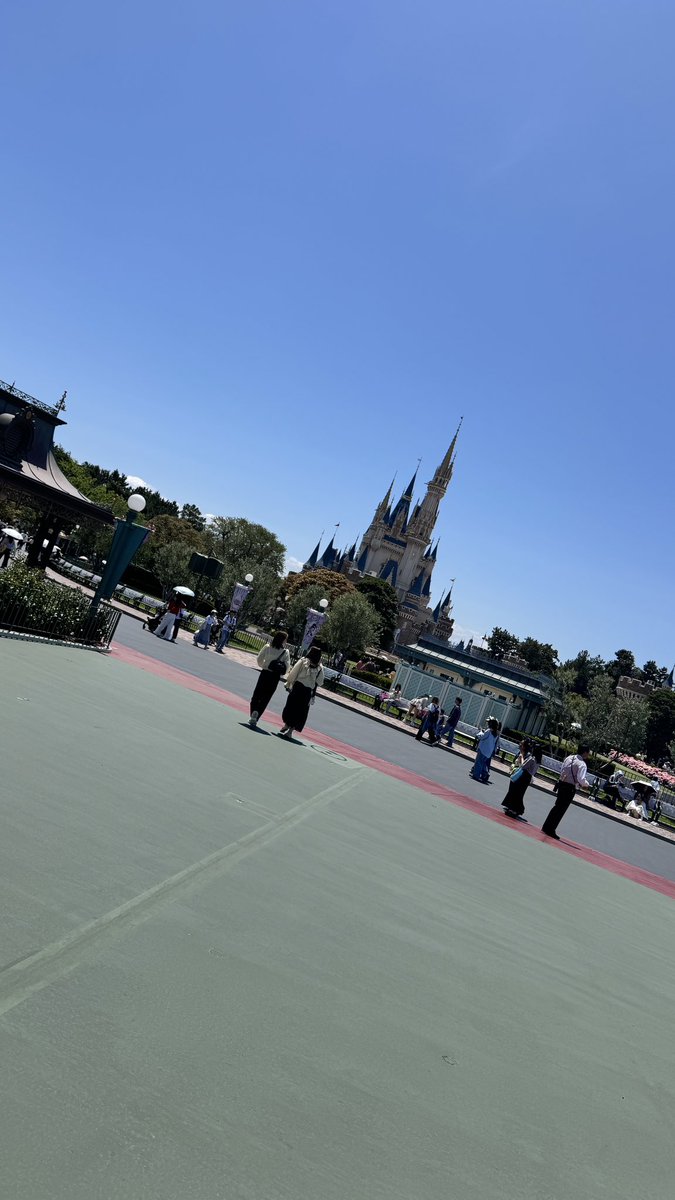 の🐧 tweet media