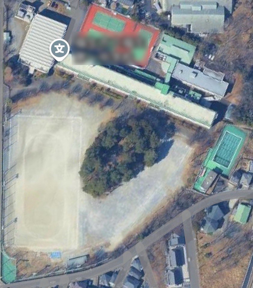 sga_ong's tweet photo. 一本どころか校庭に小さな林のある学校。 https://t.co/T0zDWNTyNb