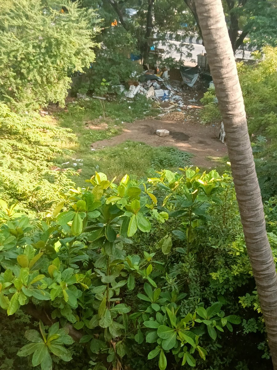 ramani3456's tweet photo. This piece of land opp DAV school in mogappair is neglected and home to insects rodents and snakes. @chennaicorp has not cleaned or fined the plot owners , request your intervention @TVKVijayHQ @CMOTamilnadu @actorvijay https://t.co/hfowfQTcik