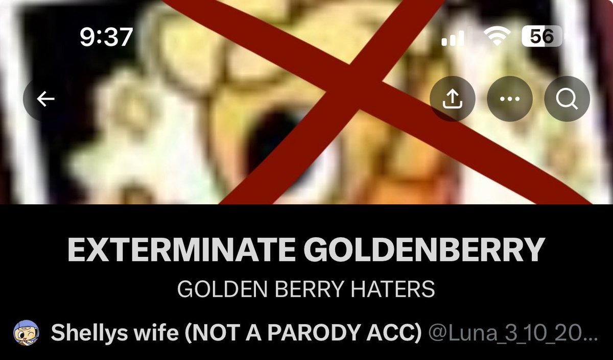 Shellys wife (NOT A PARODY ACC) tweet media