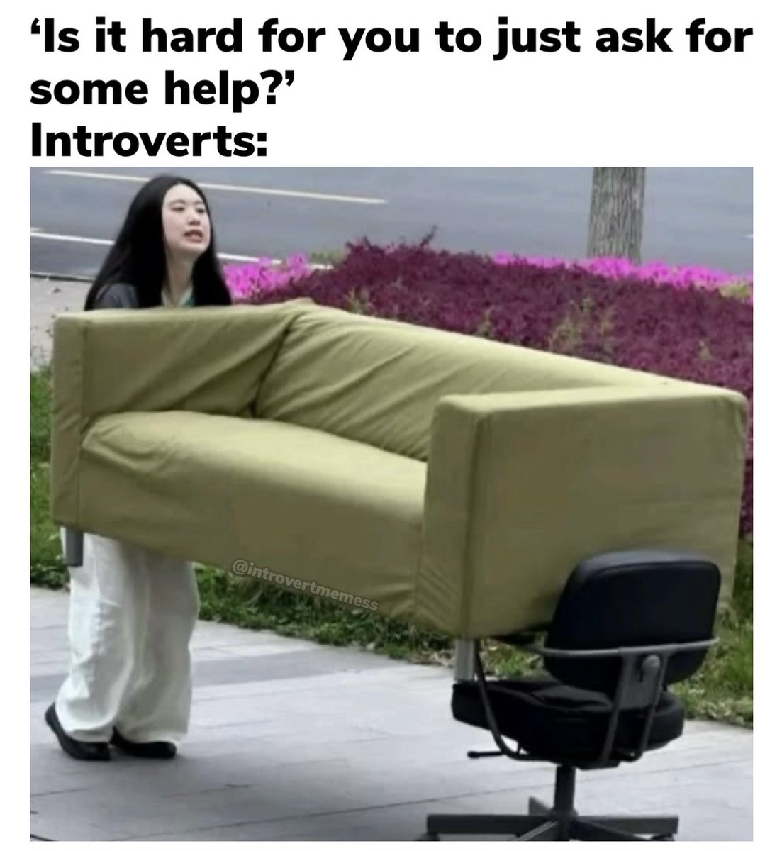 All About Introverts tweet media