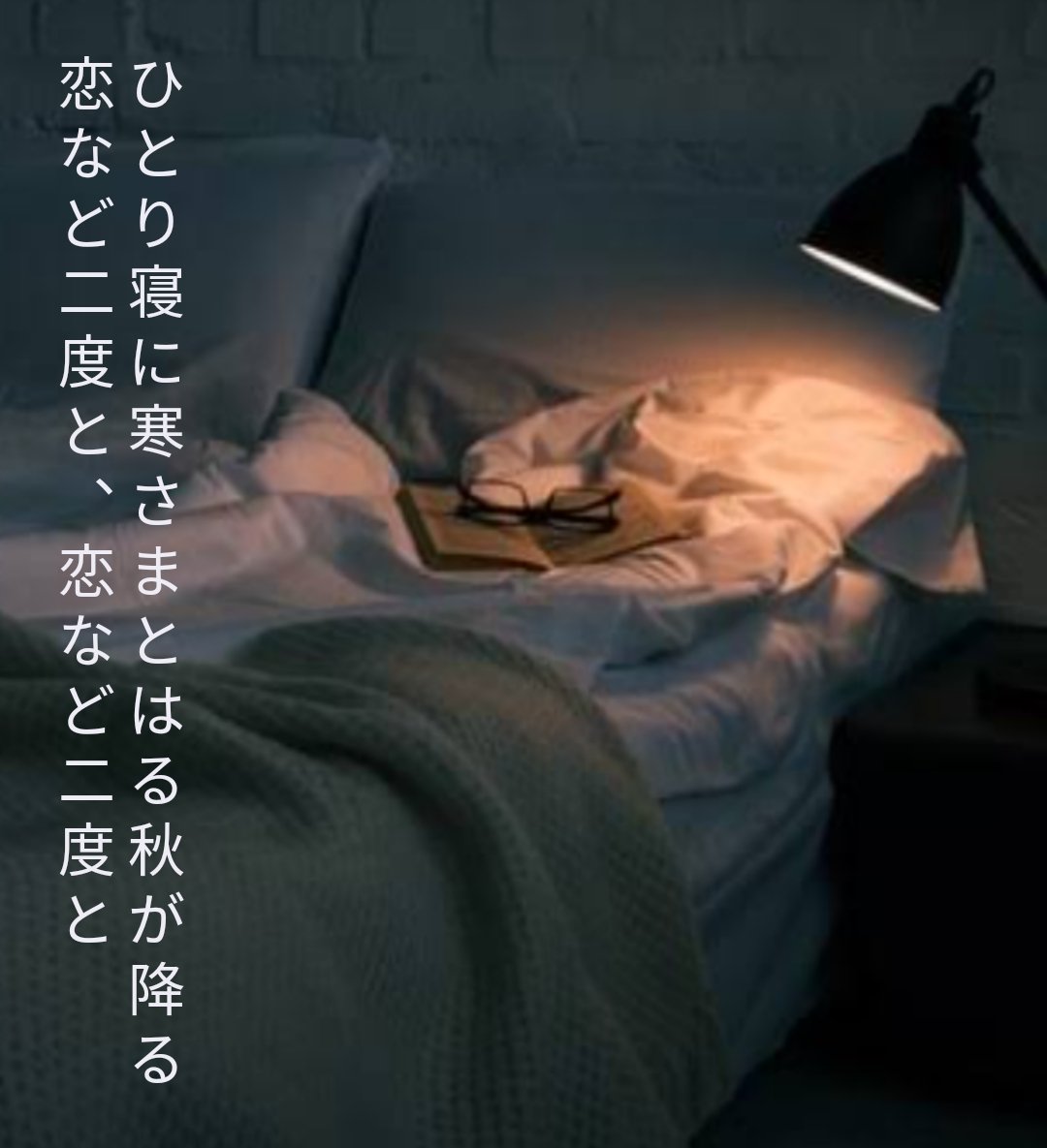 CastorPoll0601's tweet photo. ひとり寝に寒さまとはる秋が降る 恋など二度と、恋など二度と
#tanka #短歌 https://t.co/oCbrMpXb4k