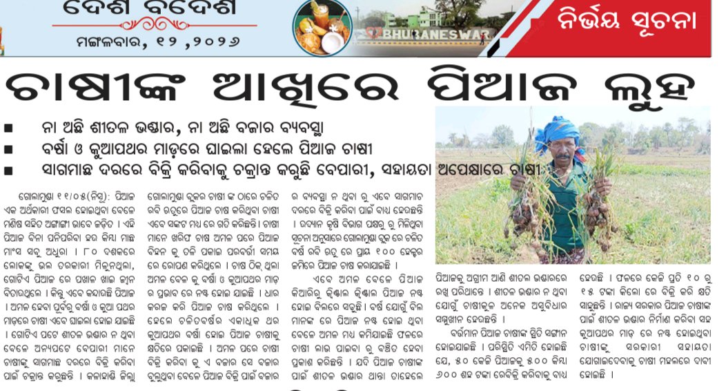BrahmaKand's tweet photo. Onion tears in farmers' eyes

#No_cold_storage_no_marketing_system

Onion farmers hit by rain and hail 

Traders plot to sell sago at low prices, farmers await help
#Golamunda
#kalahandi
#Odisha https://t.co/gCU8lpCska