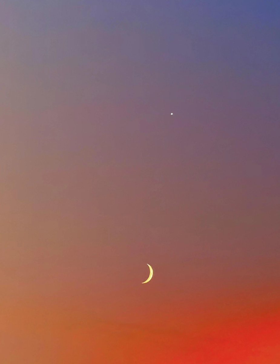 La Luna tweet media