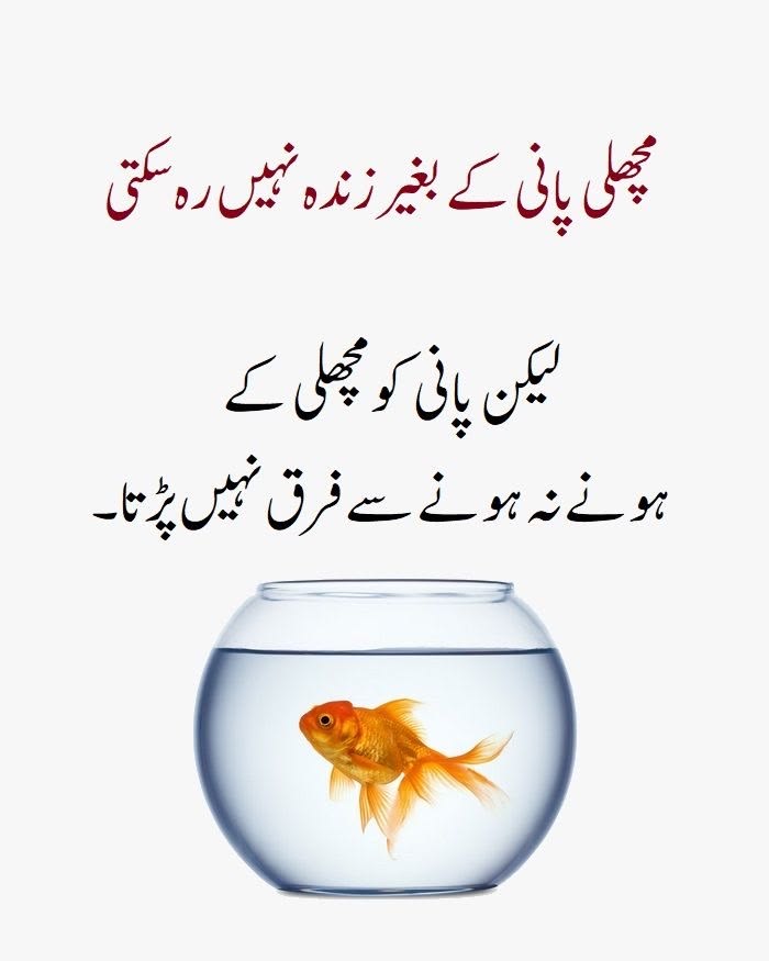 #قومی_زبان