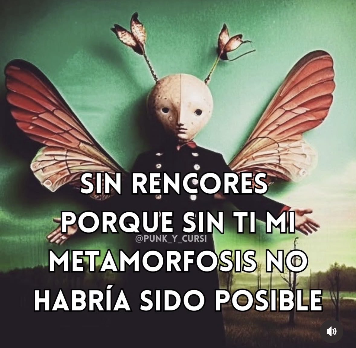 INDI-GENTE tweet media