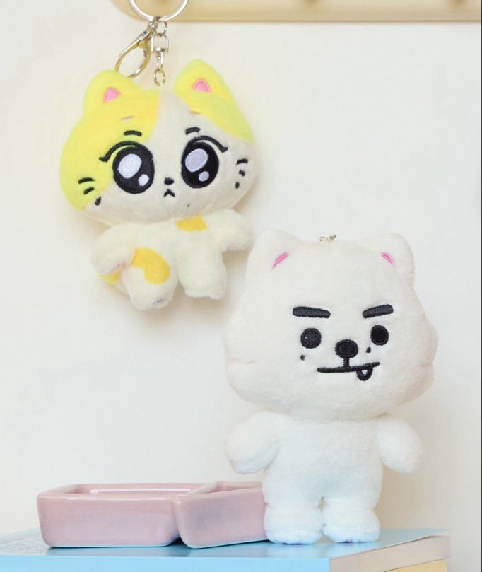 모찌중원 🐈 tweet media