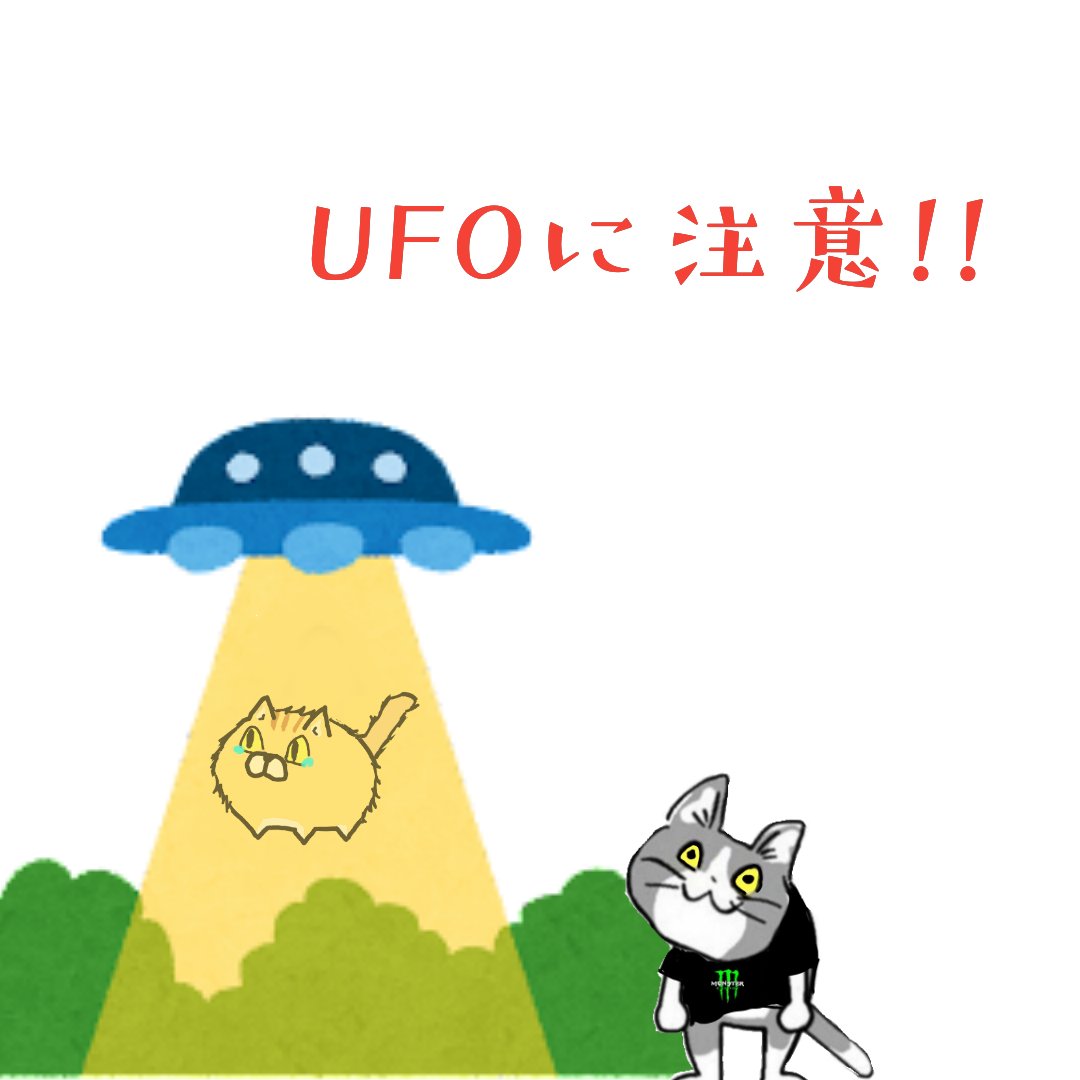 漫喫猫😺時々銭湯猫 tweet media