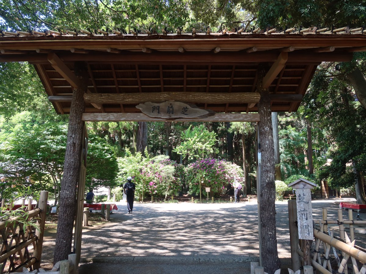 kairakuen_ibrk's tweet photo. 緑が主役の偕楽園散歩🌱

撮影日：5月10日
#偕楽園 #水戸 #茨城 https://t.co/XR58myrBas