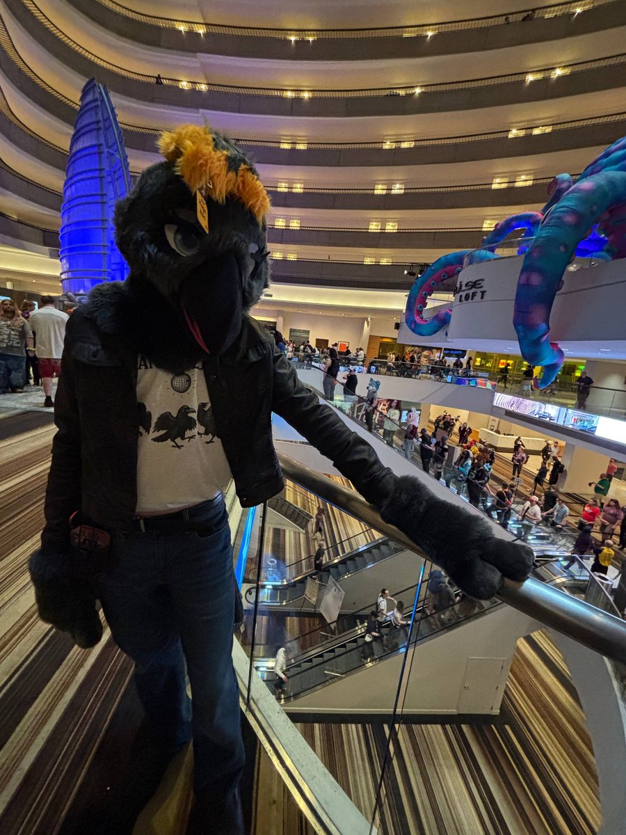A raven named Matthew tweet media