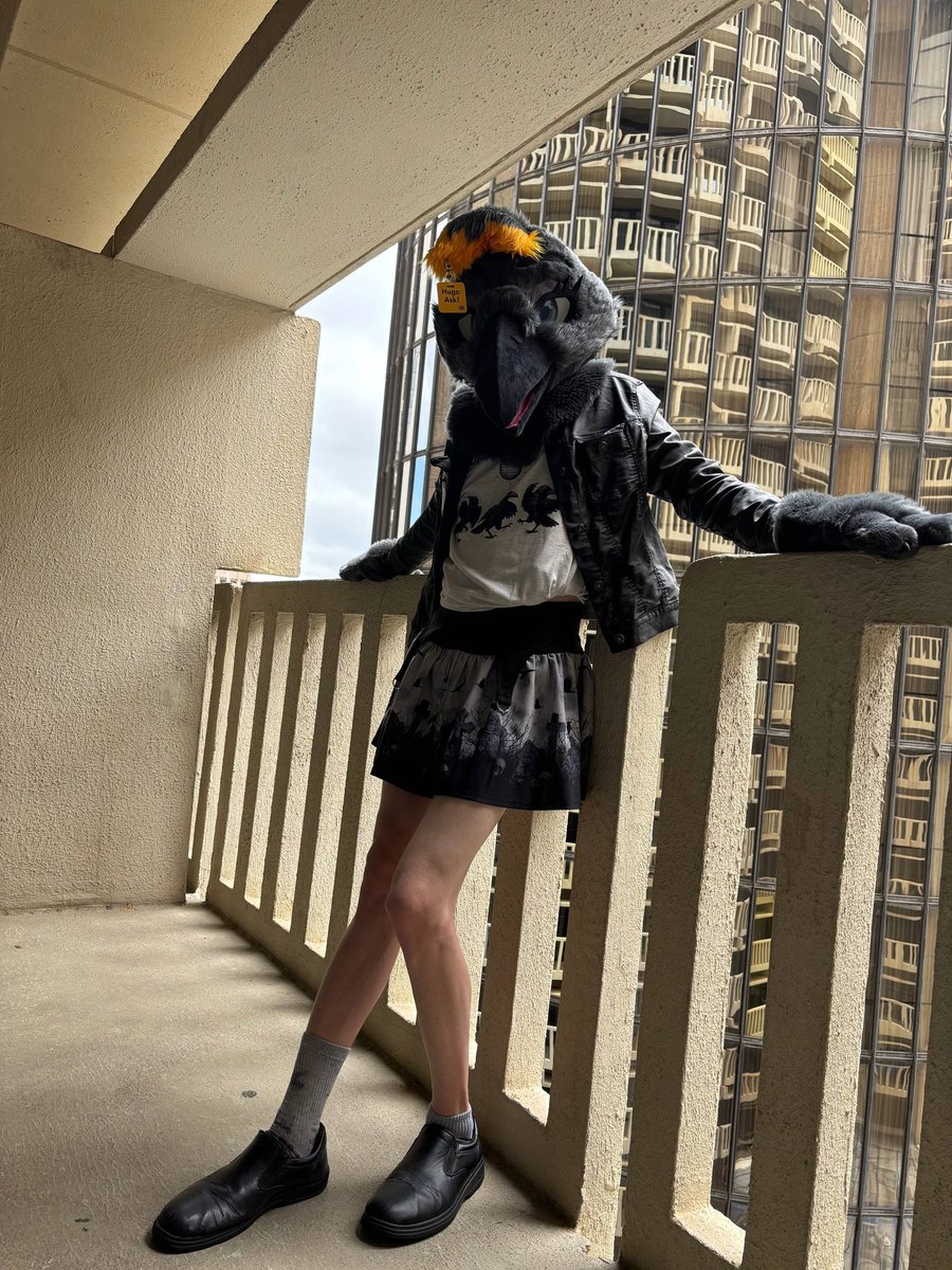 A raven named Matthew tweet media