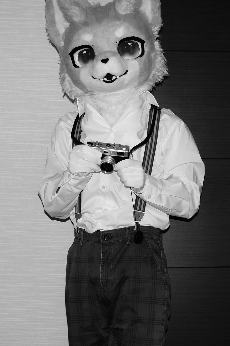 アスフェリカル📷️🐾 tweet media