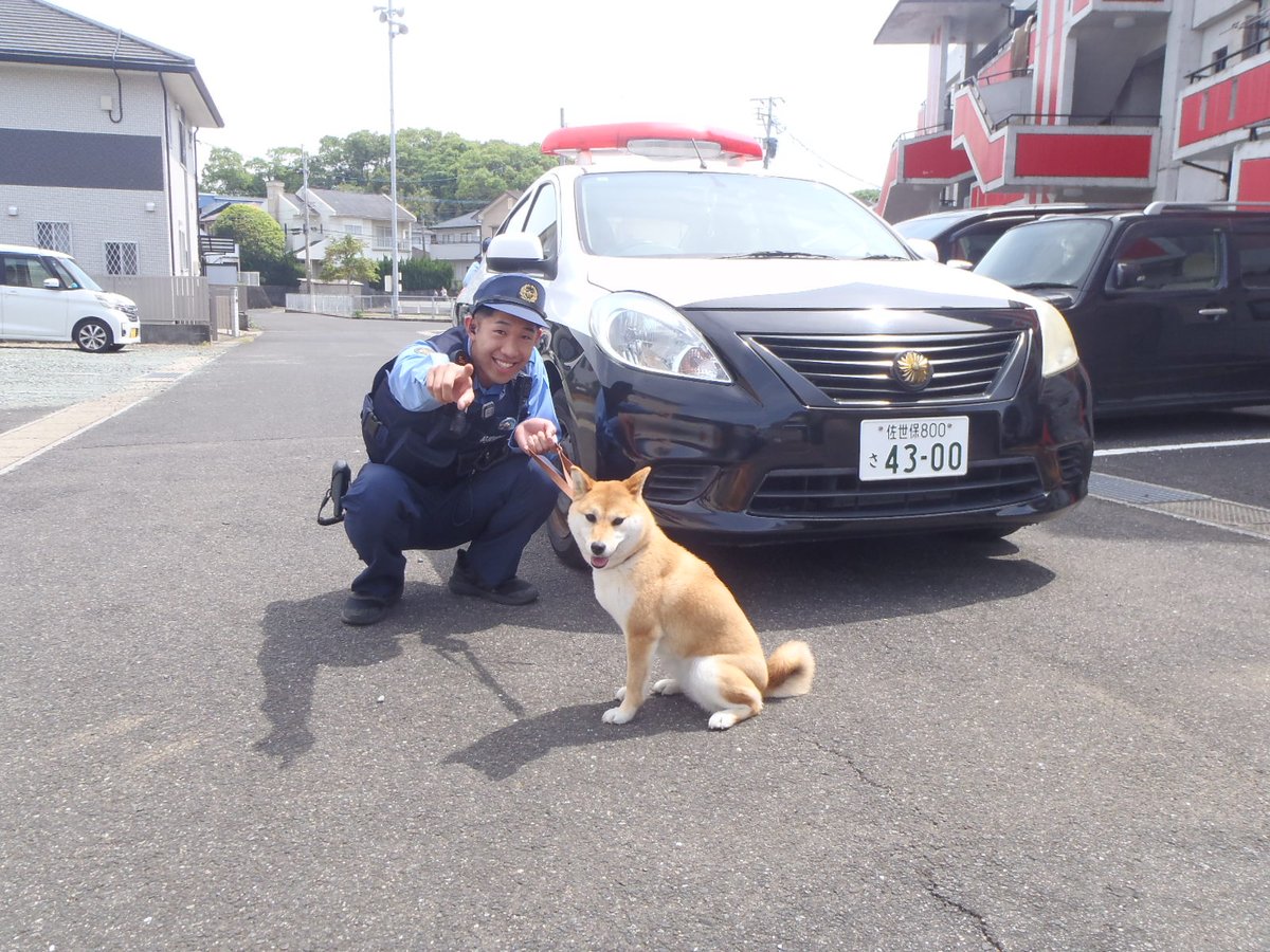 【#相浦警察署】
  ワンコちゃんの脱走現場で、若い警察官が頑張ってくれたおかげで捕獲に成功しました！
　小一時間走り回ったので、普段から適度な運動をすべきだと感じました。
　ワンコちゃん足が速かったな～  
  #相浦署　#長崎県警察　#柴犬