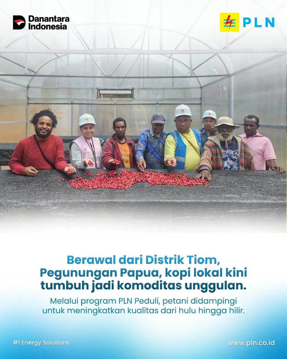 iphabafadal's tweet photo. Dari pegunungan Papua, Kopi Tiom kini melangkah lebih jauh.

Lewat PLN Peduli, pendampingan dan inovasi membantu petani menjaga kualitas, meningkatkan nilai jual, hingga meningkatkan kesejahteraan petani.

#PLNUntukSemua #PLNUntukIndonesia #PLNPeduli #PLNUIDSulselrabar https://t.co/BuYyqVqkHA