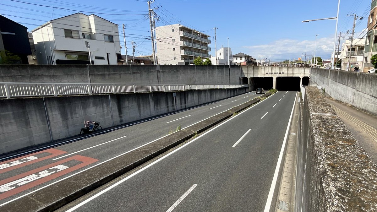 しょぼ tweet media