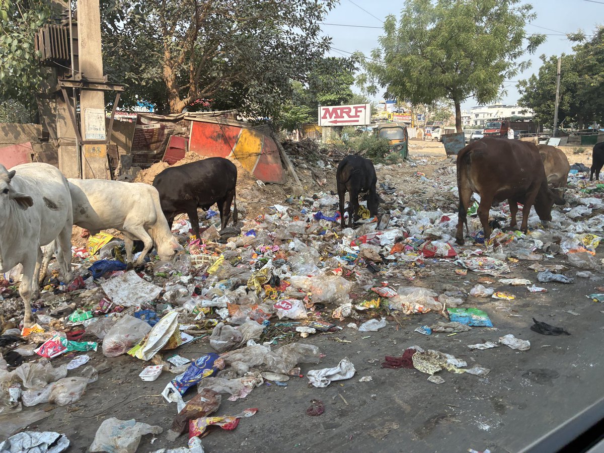 Jayanta_Ch's tweet photo. @DC_Gurugram @cmohry Sec 52 a true reflection of engines at work. Photo opps over last year, now the true picture @Suhelseth @HTGurgaon https://t.co/ZpJJno2lg9