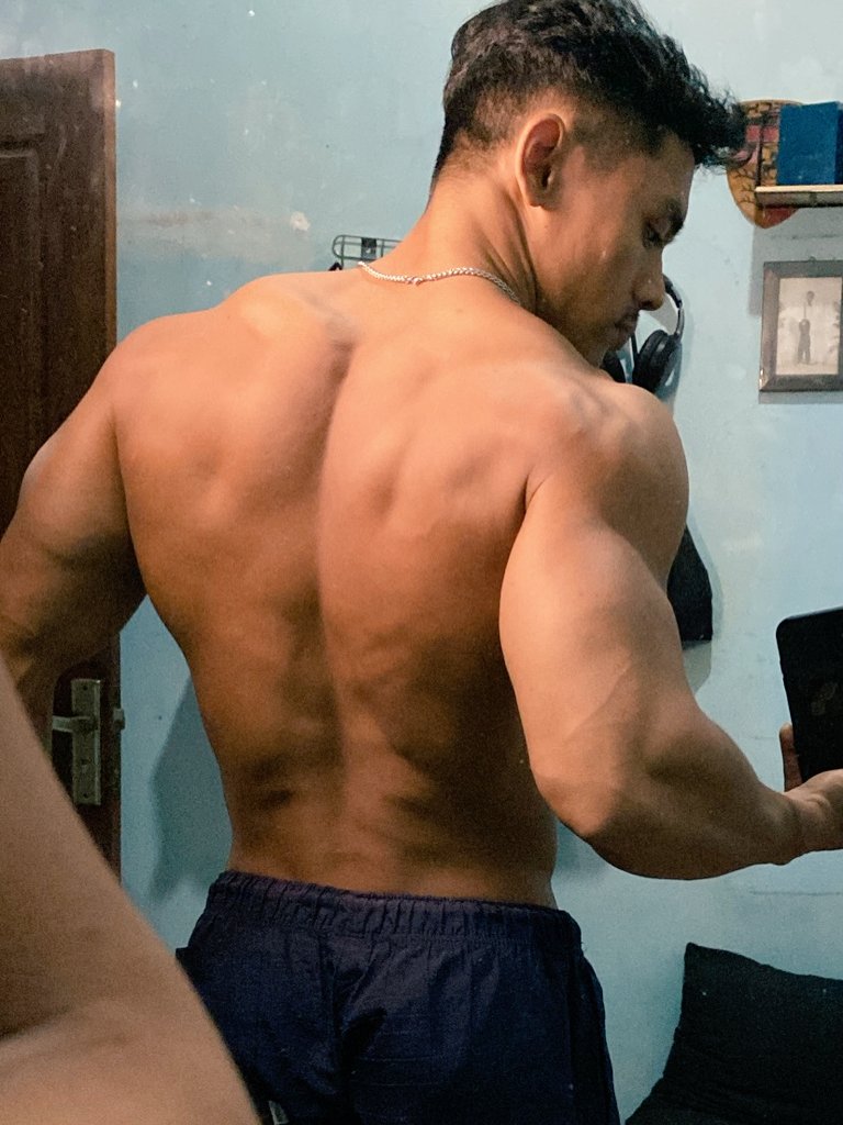muscledailyid ⚜️ tweet media