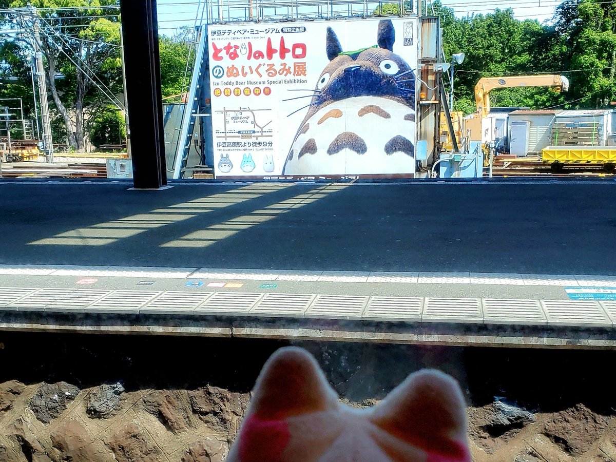 tourist_henneko's tweet photo. 駅のプラットホーム🚃なのに、#伊豆半島 名物の金色を帯びた(本物は赤色💦)美味しそうな #金目鯛 くんが、向こう岸に列をなして泳いでいますにゃご😺👀
よ~く見ると、大きな #伊勢海老 ちゃんも一尾おりますにゃご😺🎶
他の駅では #トトロ 君も見付けたにゃご😺🎵
#伊豆急行 #Resort21
#11ぴきのねこ https://t.co/fVyuN3eaJP