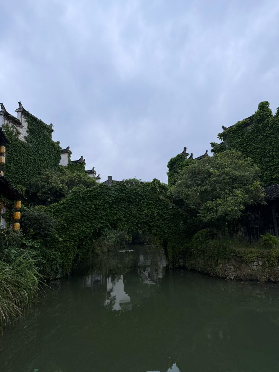 Elenainr's tweet photo. 郁郁葱葱，桥 https://t.co/Roxv1FDNd6