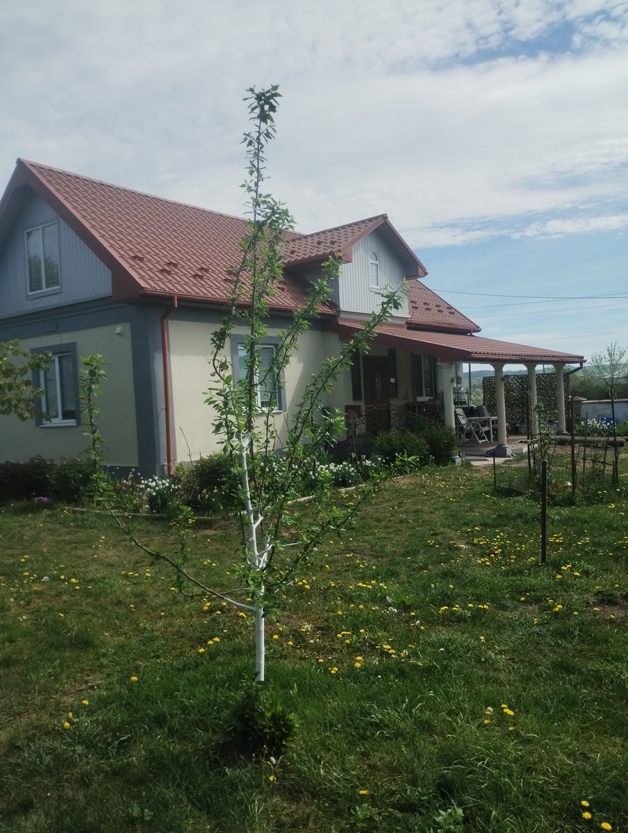 Olena Sloboda🌼🌼🌼🇺🇦🇫🇷 tweet media