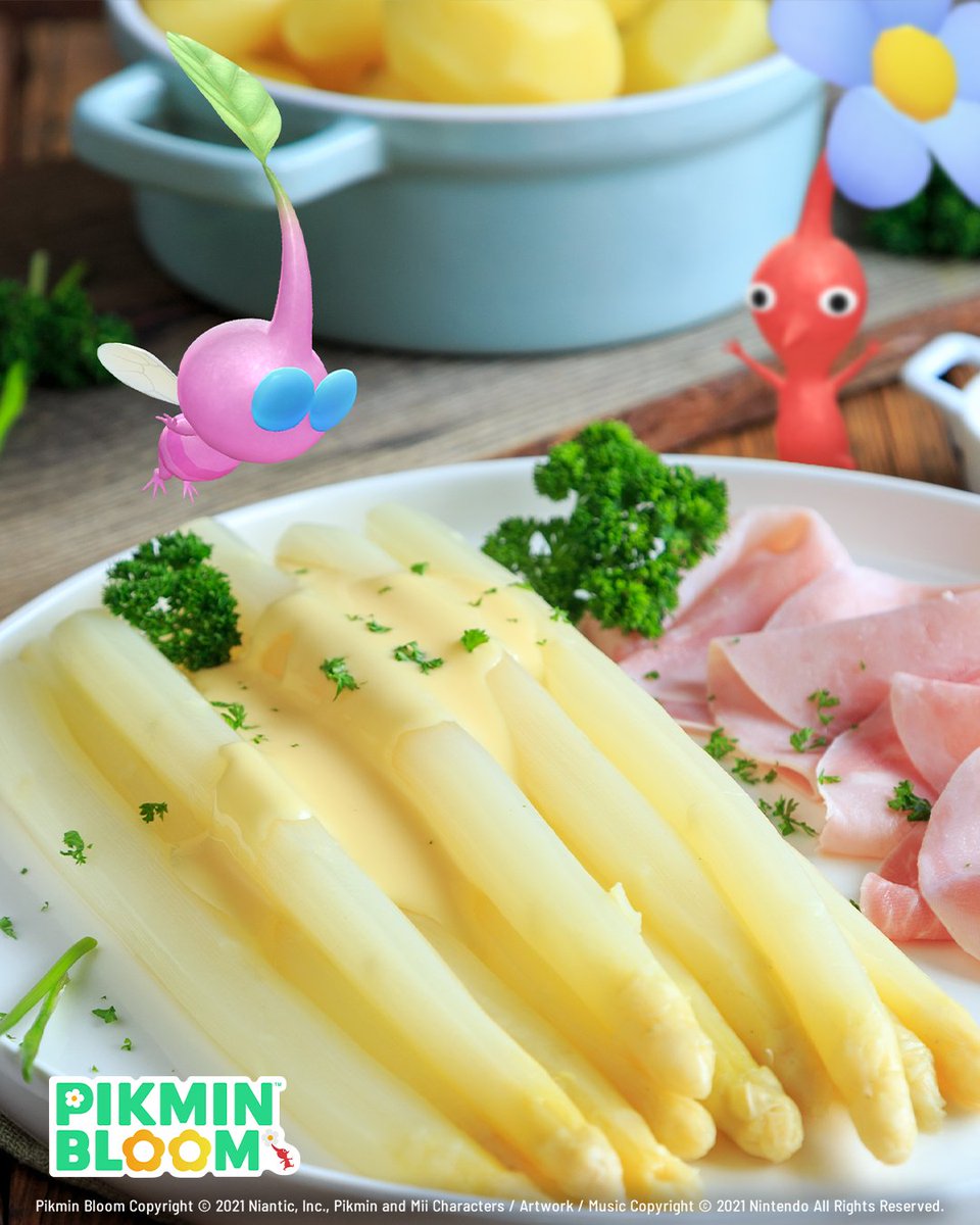 Pikmin Bloom tweet media