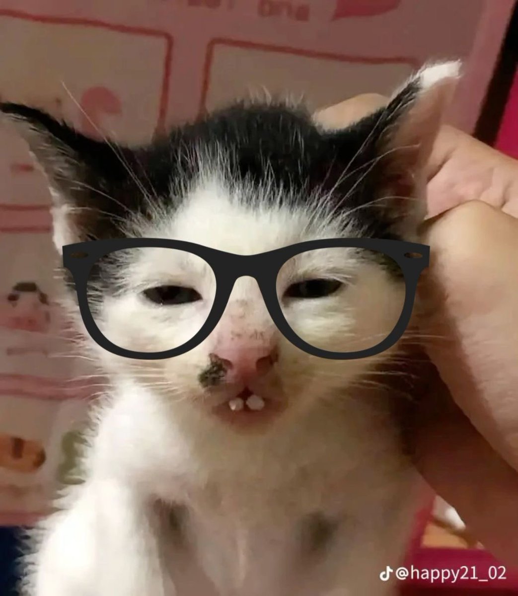 잠잠이 tweet media