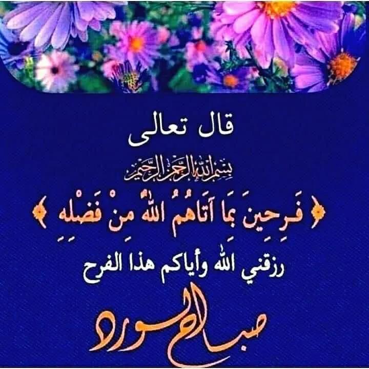 ابو صطيف tweet media